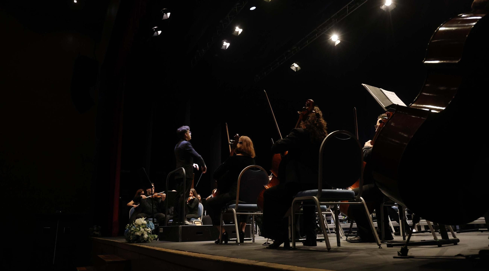 Las fotos de la Gran Gala Lírica de la Sociedad Musical Linense