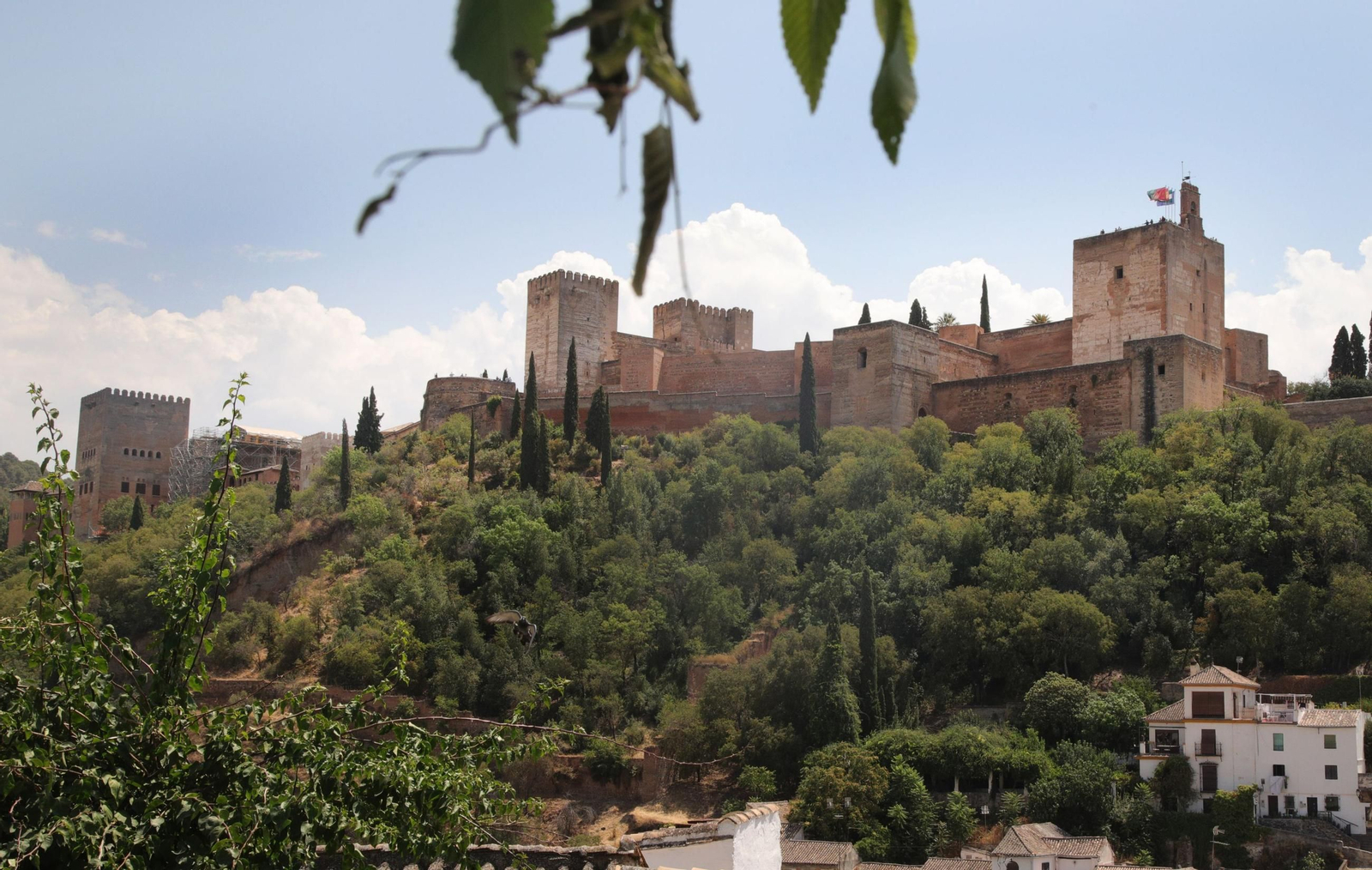 Vista de la Alhambra  de Granada