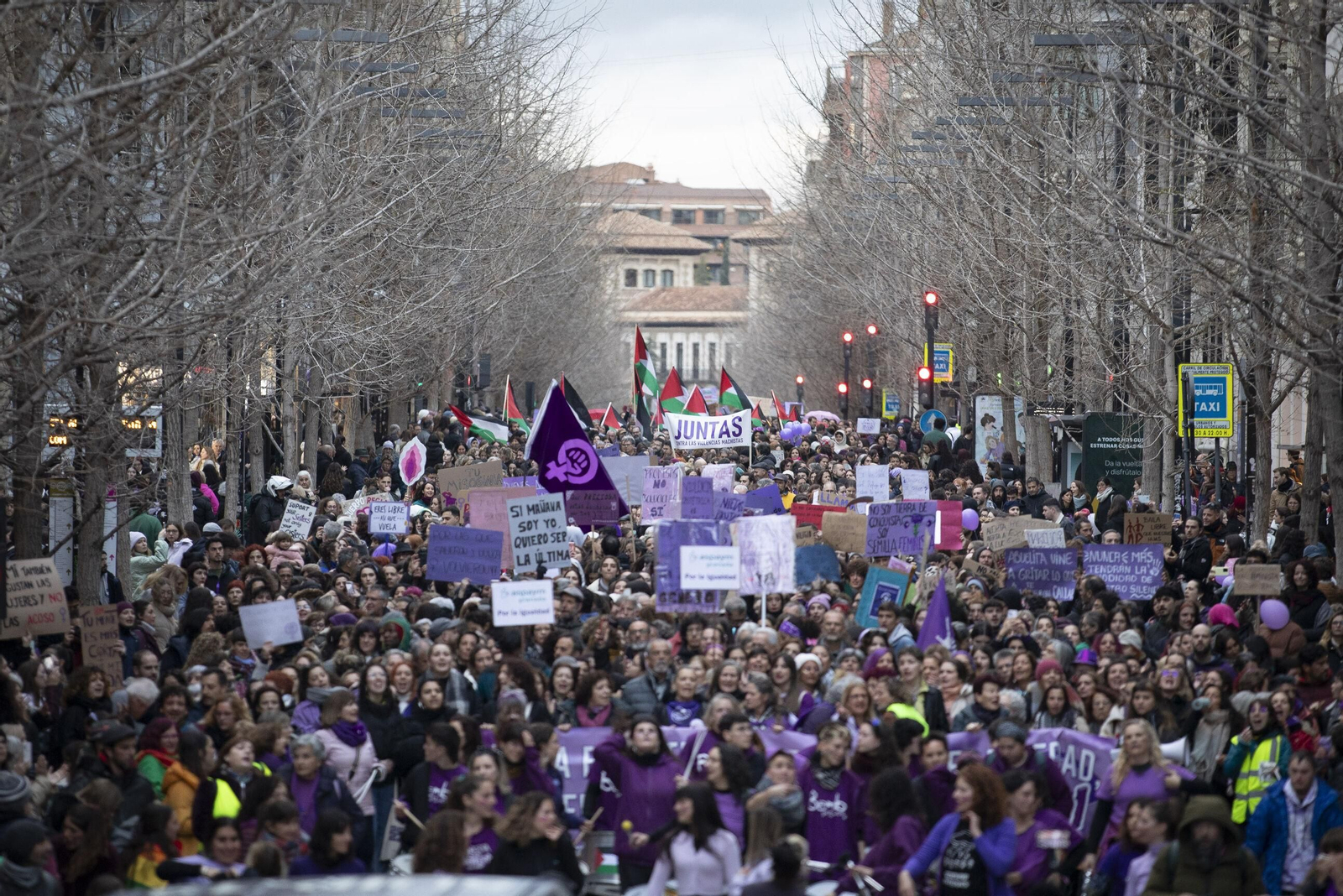 Manifestación del 8M en Granada