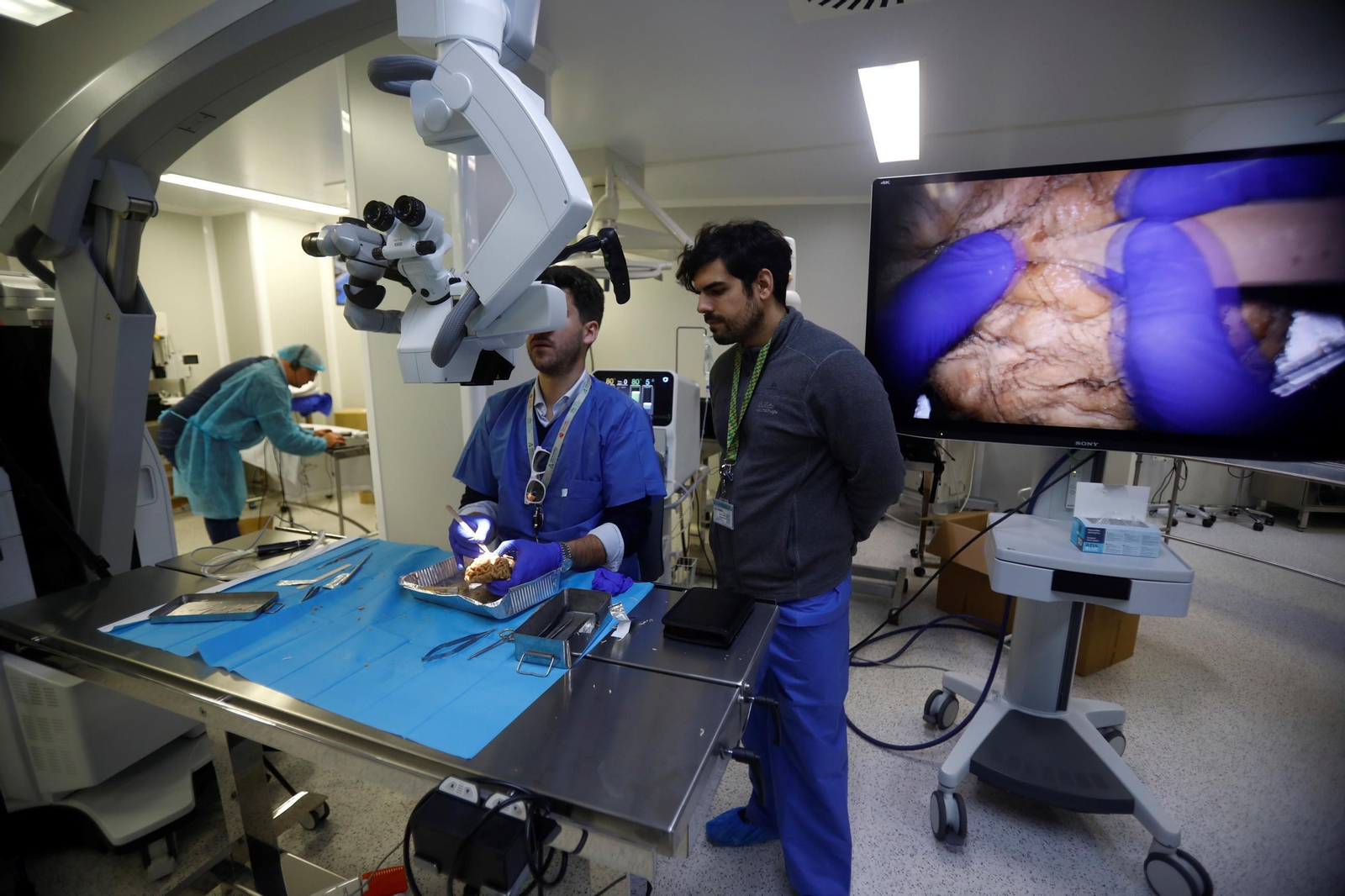 El curso en el que neurocirujanos del Hospital Reina Sofía estudian el cerebro, en imágenes