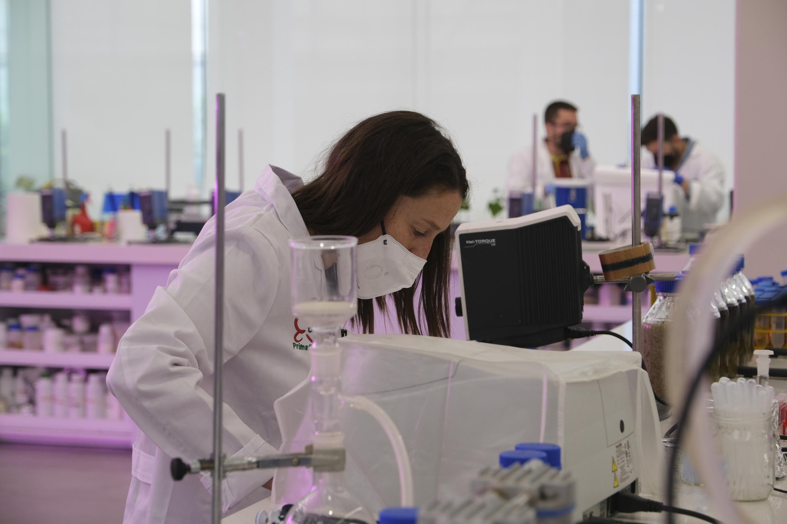 Fotogalería Kimitec-Primafor