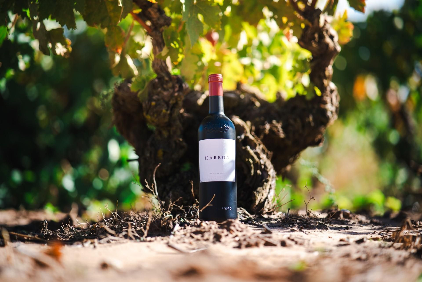 Carroa de Bodegas Protos, una de las novedades más destacadas del año entre los tintos españoles.