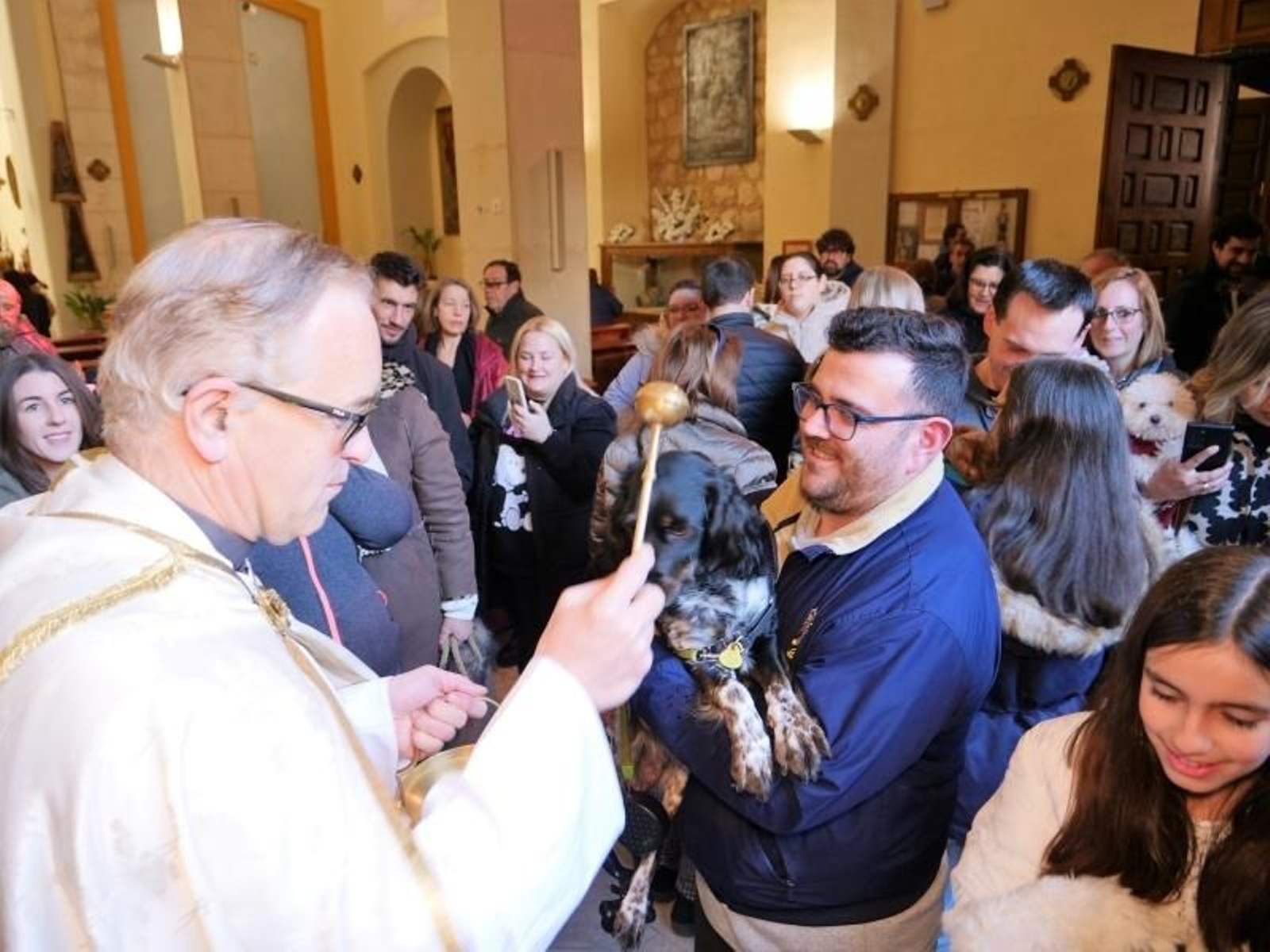 San Antón es el patrón de los animales, y de ahí que se les bendiga tradicionalmente en su onomástica.