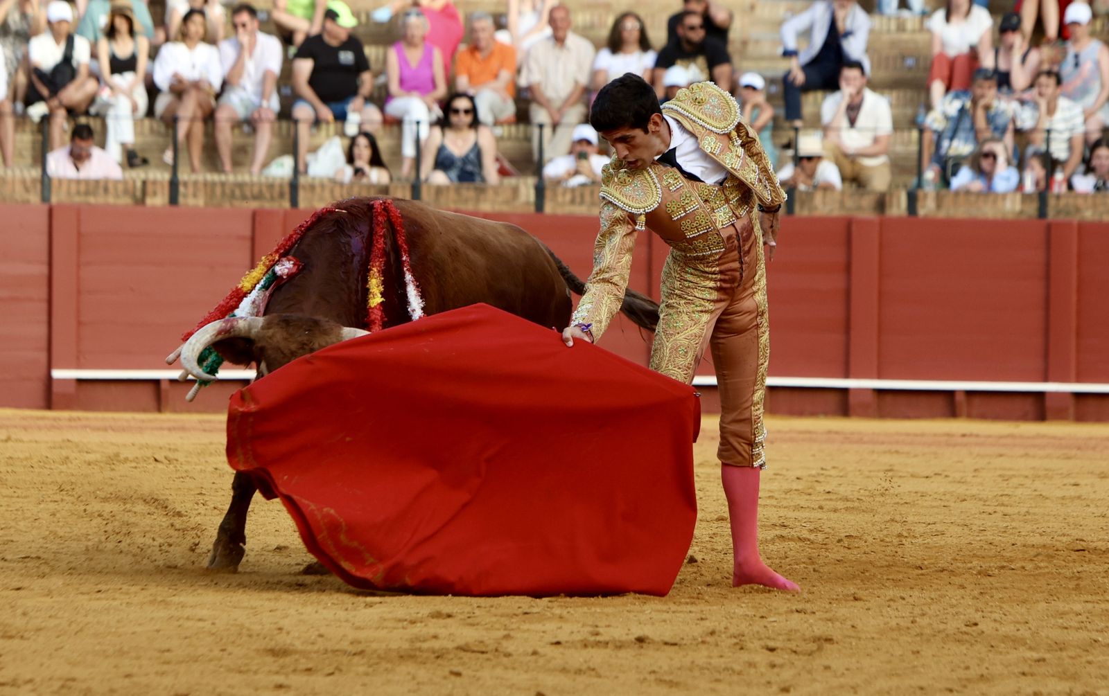 Novillada El Melli, Aarón Palacios y Manuel Jesús  Carrión