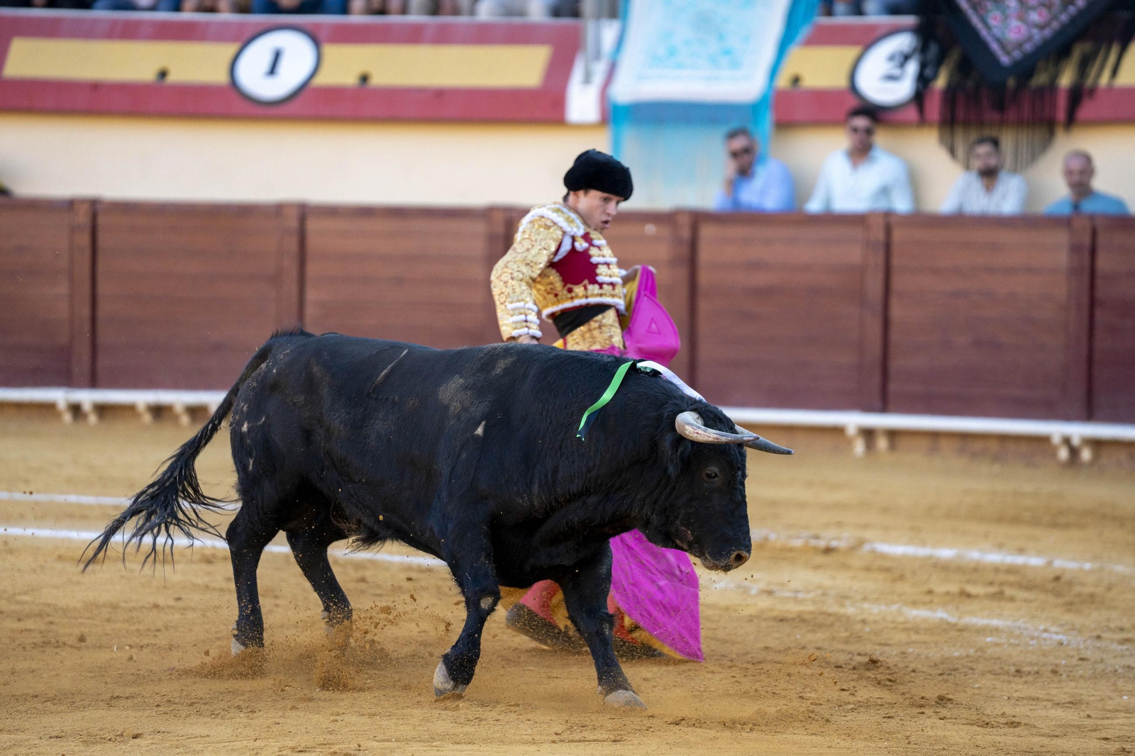 Las imágenes de los toros en Vera