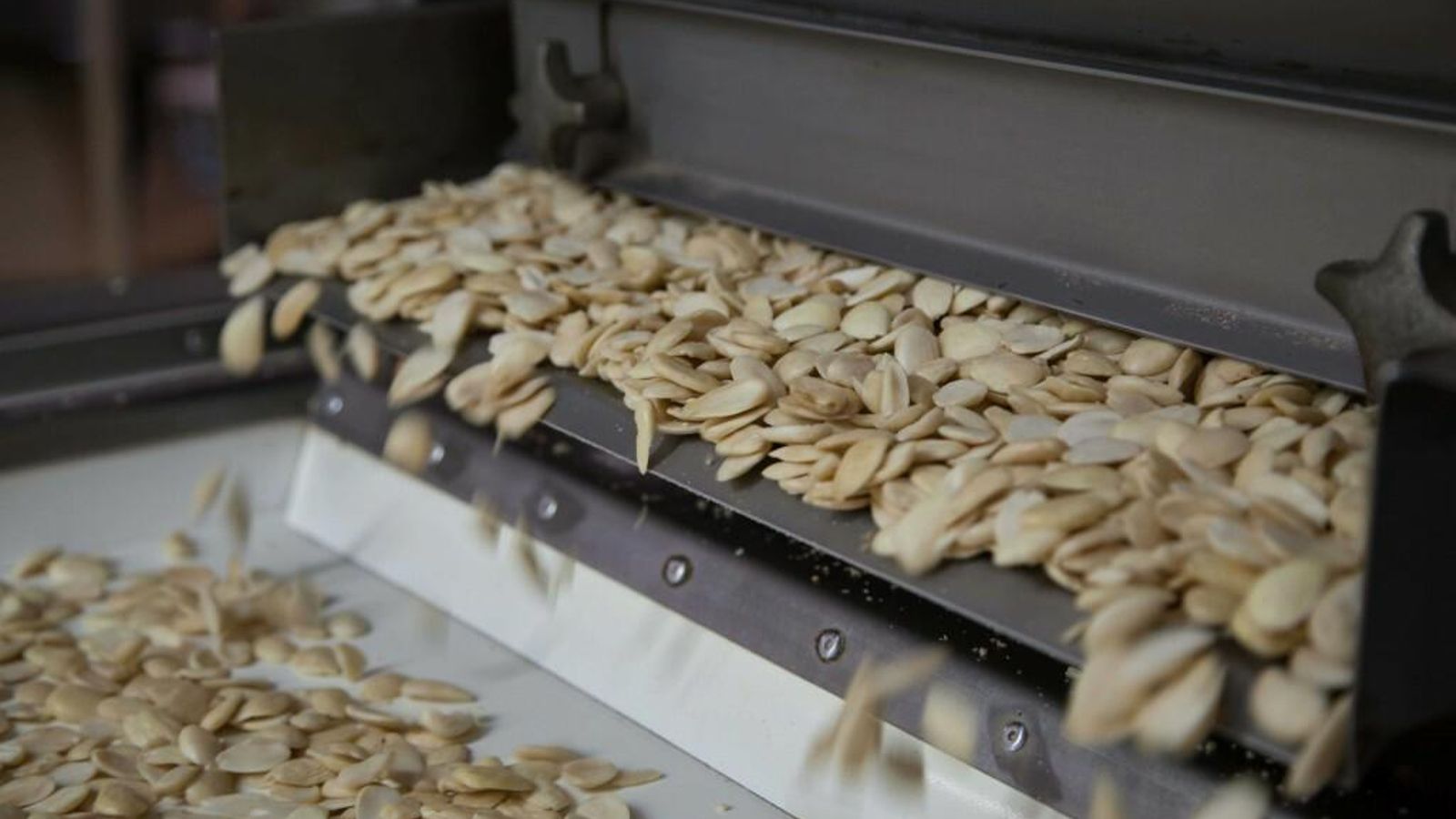 Almendras de  Almendrera del Sur