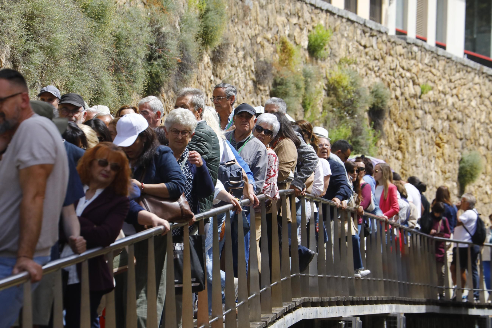 Colas e ilusión en el primer sábado de los Patios de Córdoba, en imágenes