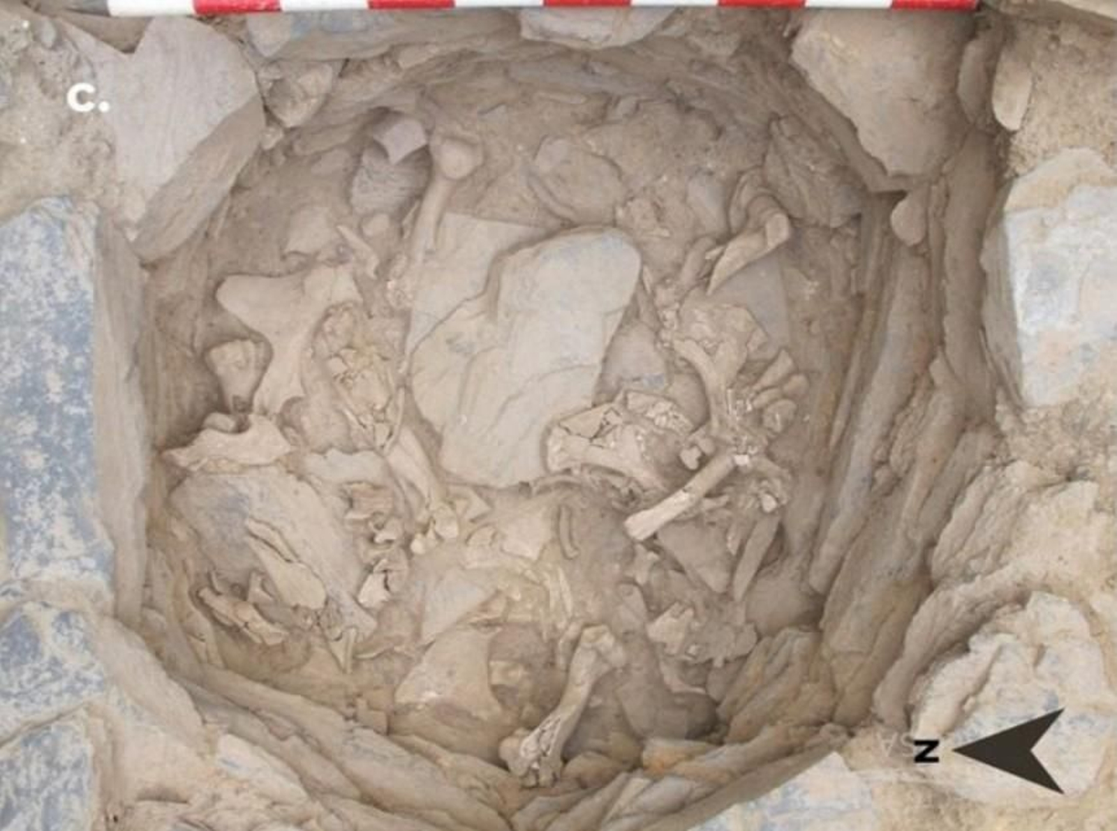 Imágenes de los restos encontrados.