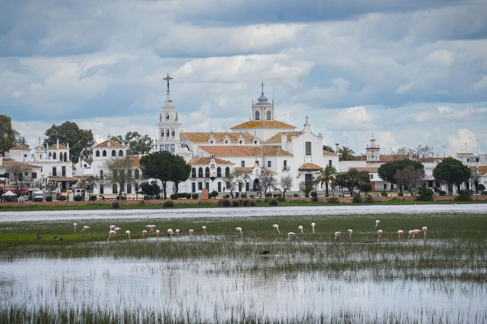 Imagen de la marisma llena de agua tras las lluvias.