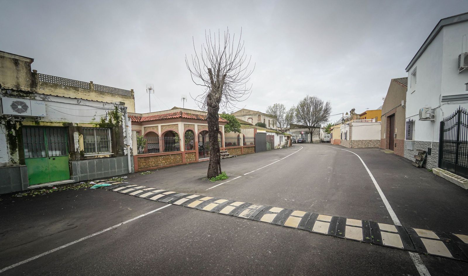 Imágenes de las zonas afectadas por la crecida del rio Guadalete en Jerez