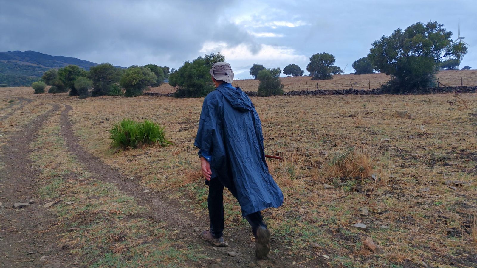 Dejando atrás el parque eólico del puerto de Facinas.