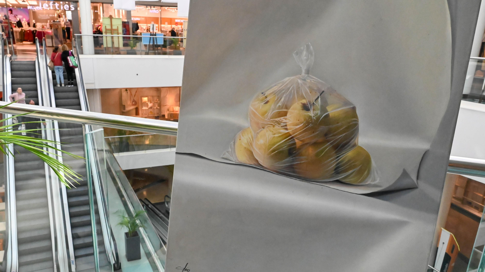 Las fotos de la Exposición 'Realismo: entre el retrato y el bodegón' de José Luis Guio