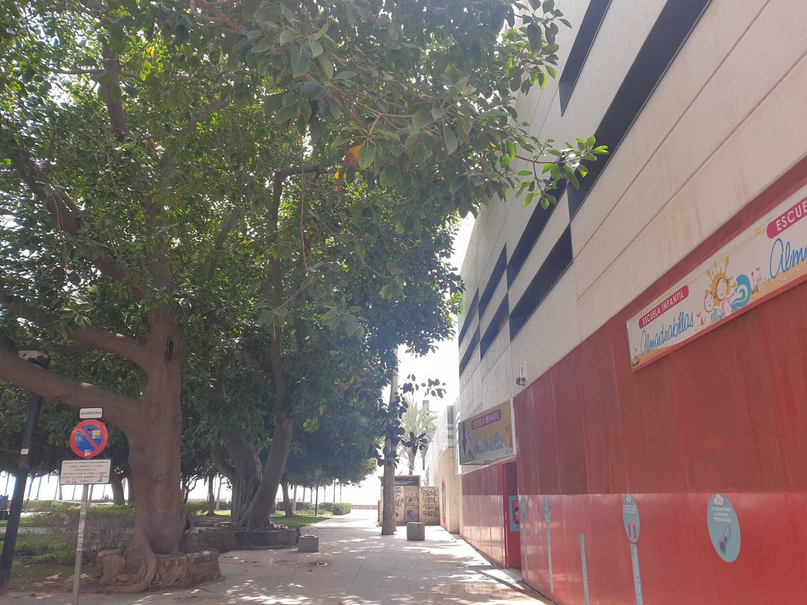 Una imagen vale más que mil palabras y las ramas del gran ficus están a menos de medio metro de la fachada de la escuela infantil