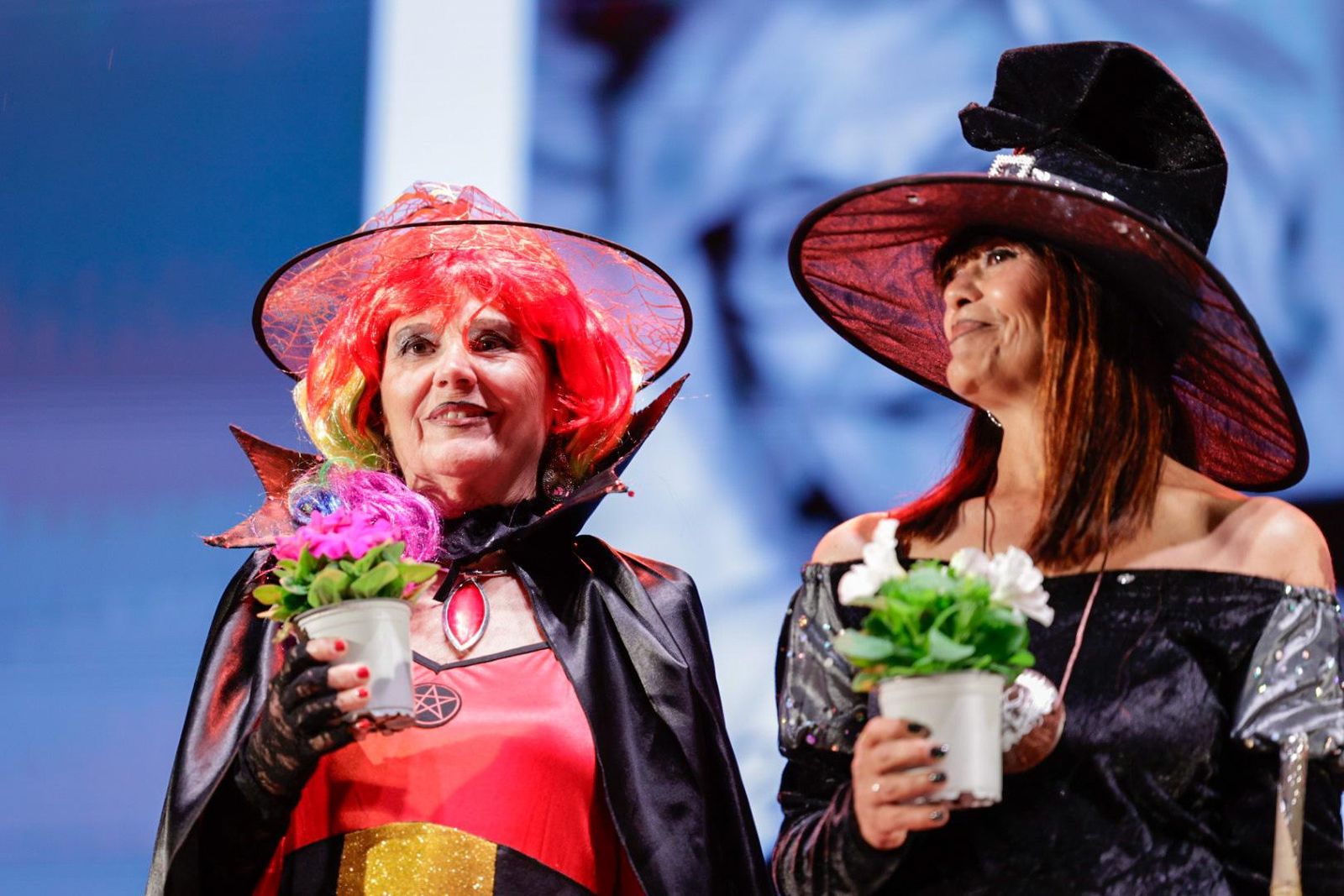 Búscate entre las mejores imágenes de la quema del dios Momo