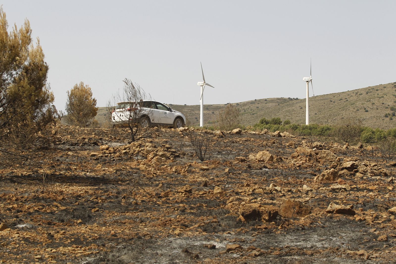 Fotogalería incendio extinguido Sierra de Gádor