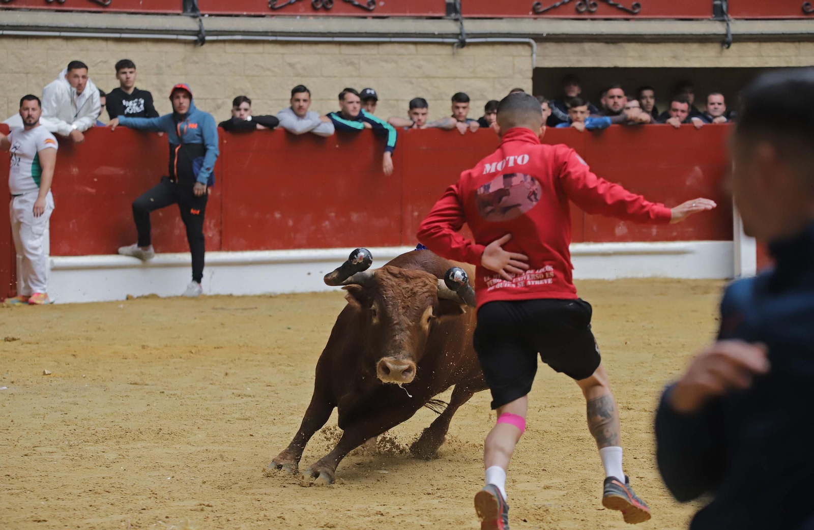 Fotos de los encierros del domingo del Toro Embolao en Los Barrios