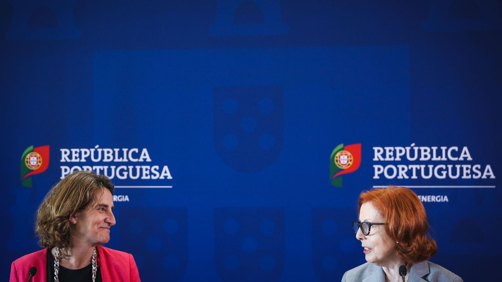 Maria da Graça Carvalho y Teresa Ribera.