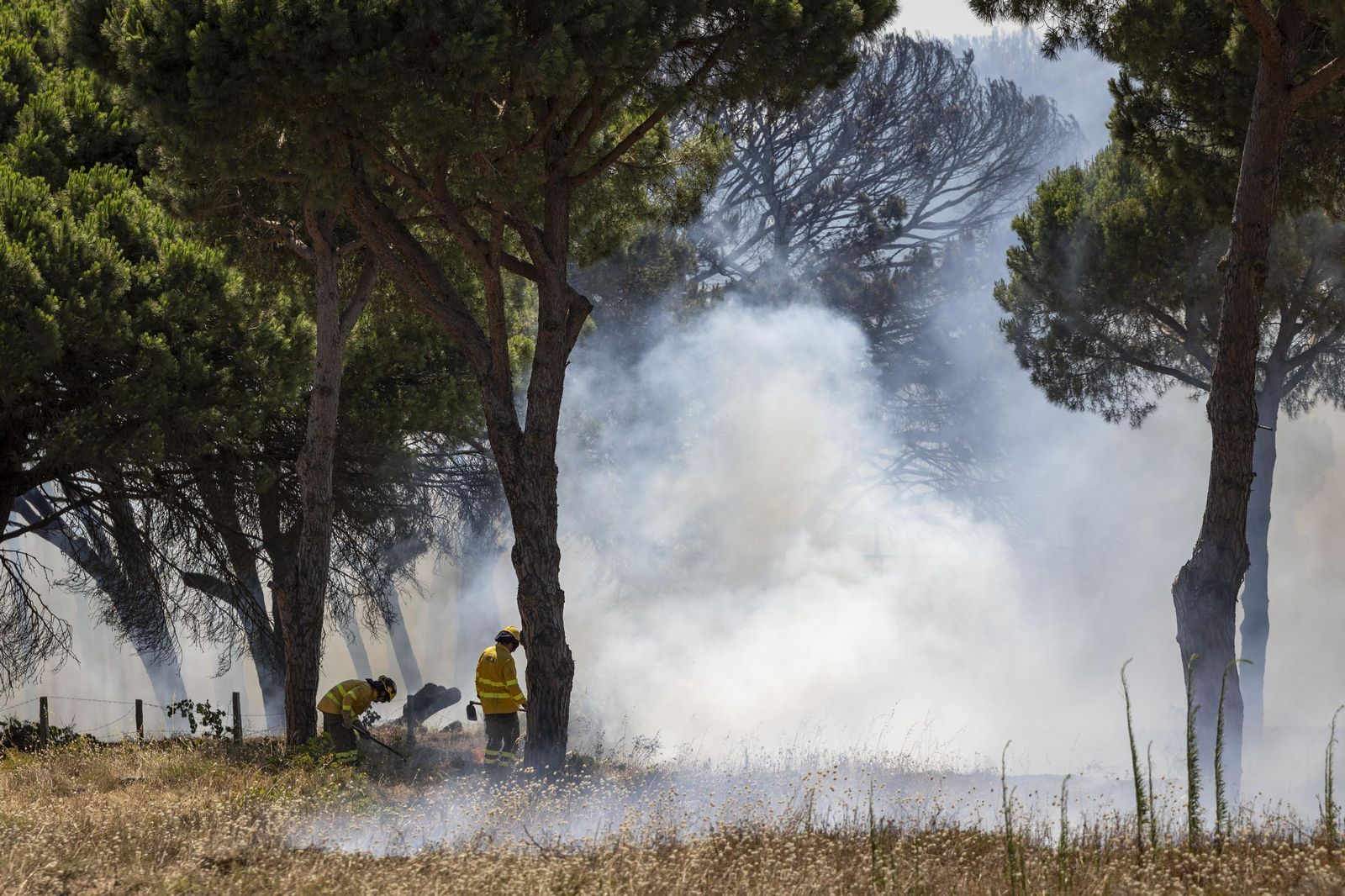 Las imágenes del fuego de la carretera de la Barrosa, con casas afectadas