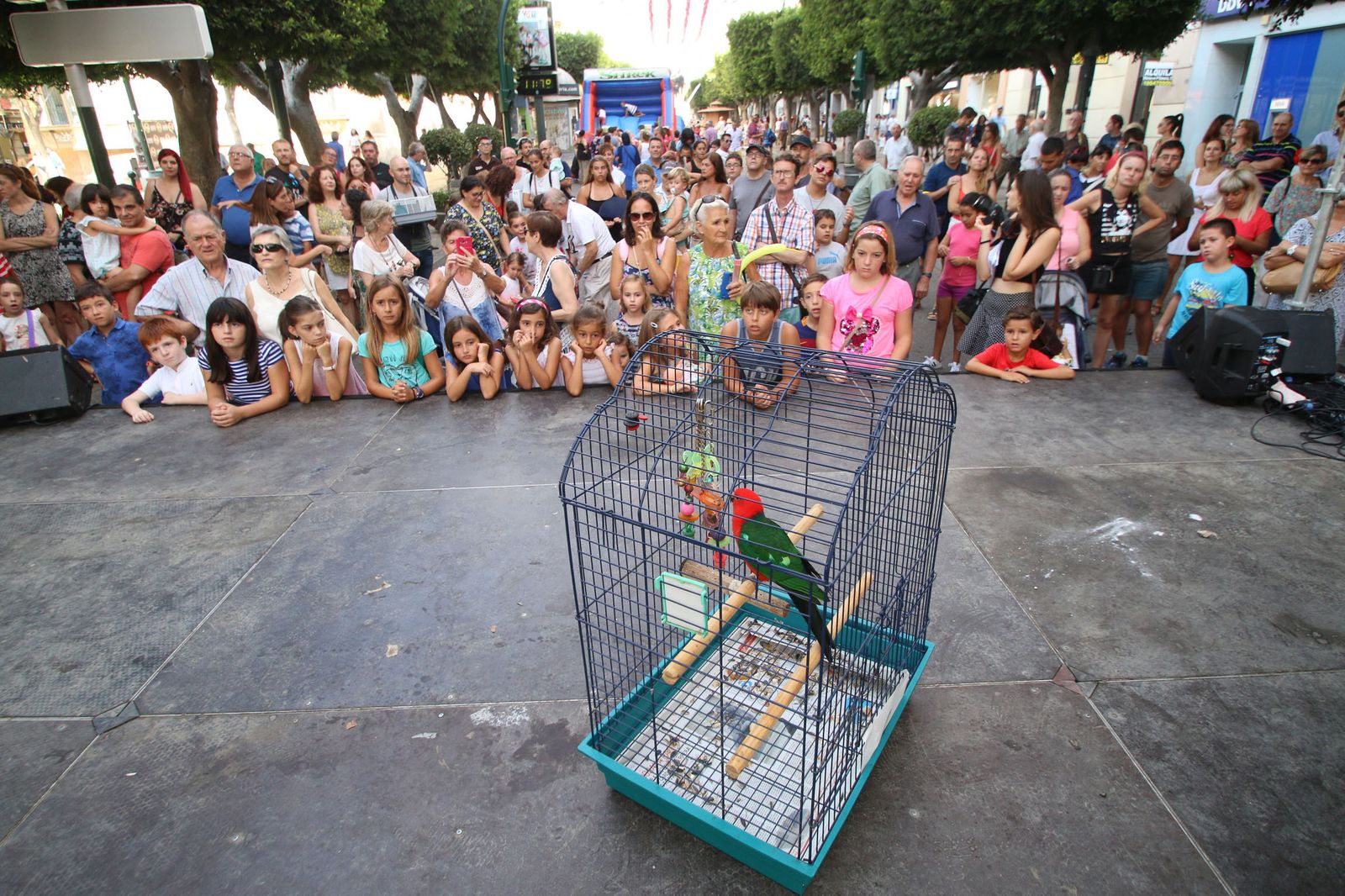 El exótico papagayo Australian Parriot King llamado Rocky solo ante una multitud de personas que esperaban ansiosos escucharle cantar 'La muerte tenía un precio' fue el ganador.
