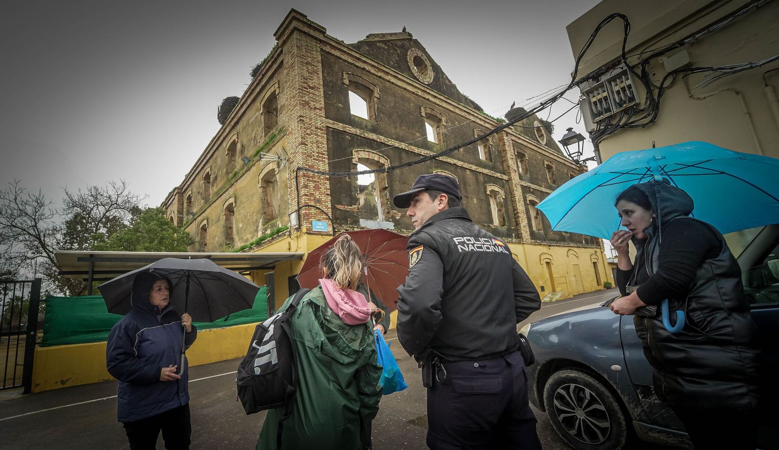 Imágenes de las graves consecuencias de la crecida del rio Guadalete en la zona rural de Jerez