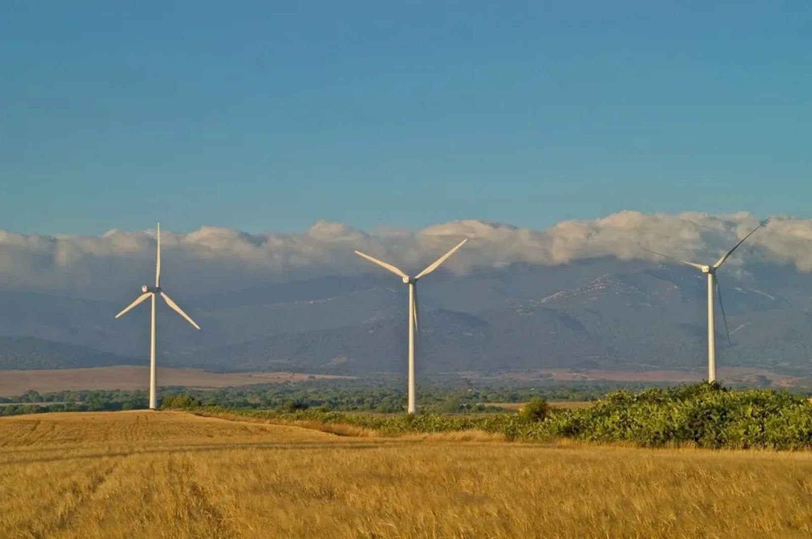 Aerogeneradores del parque eólico Pasada de Tejeda, de Statkraft, en Tarifa (Cádiz)