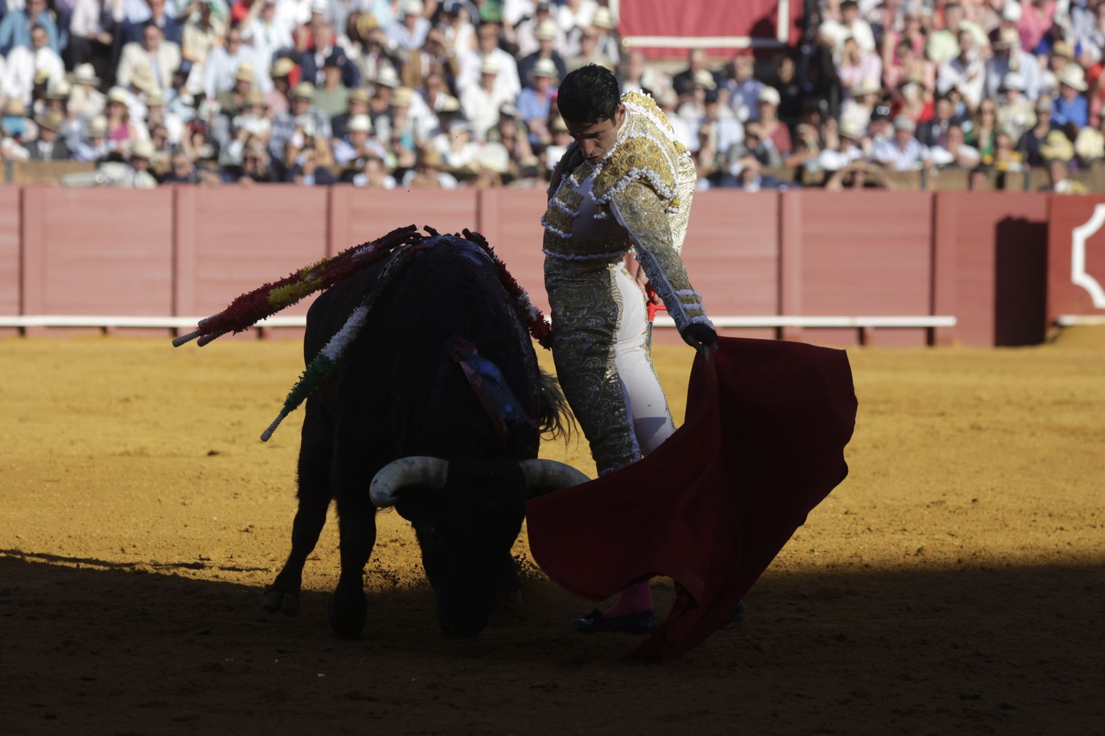 Las imágenes del festejo