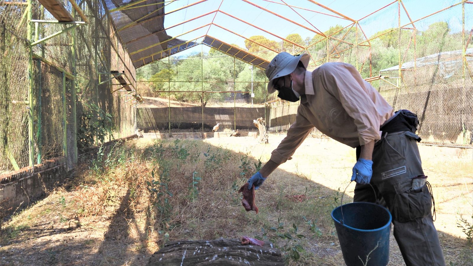 Alimento para Buitres.