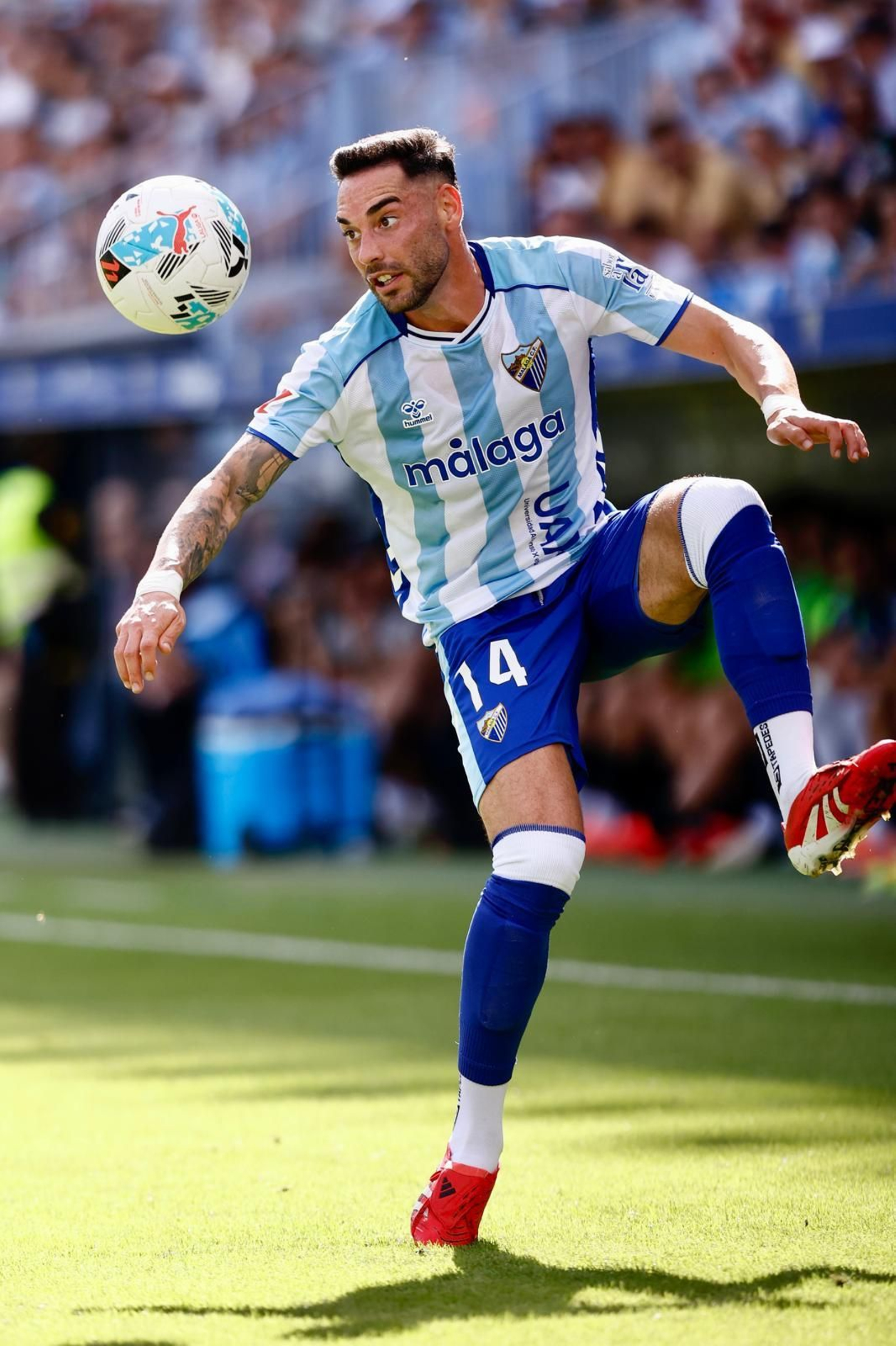 Las fotos del Málaga - Andorra