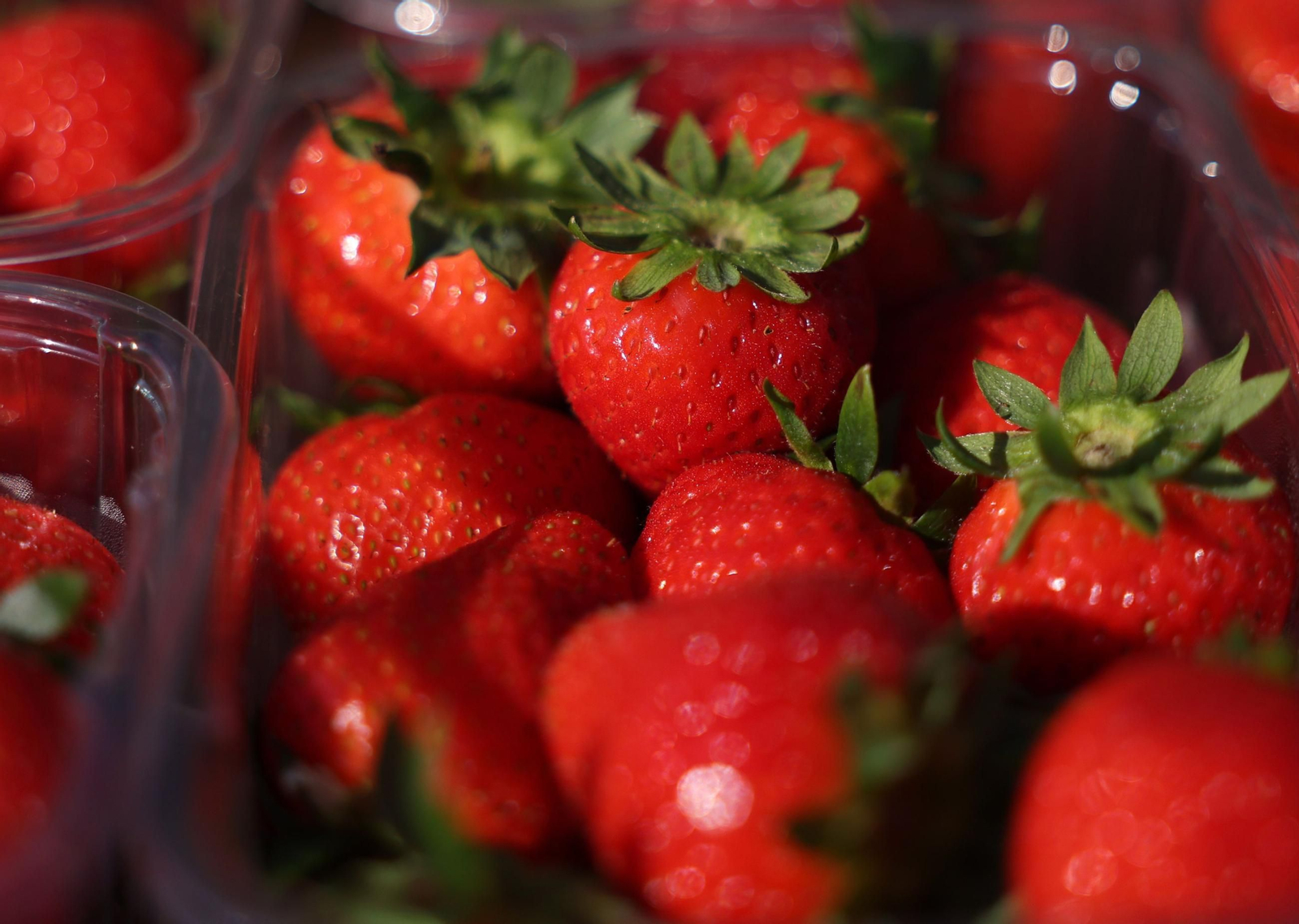 La primera jornada de Wimbledon (3).jpg