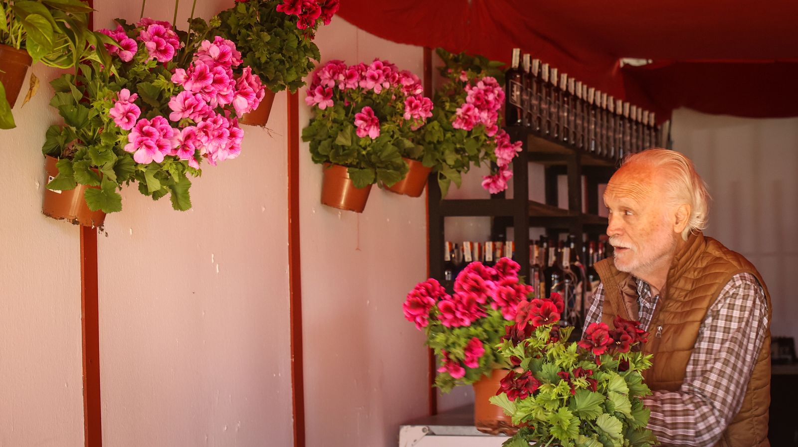 Imágenes de los preparativos para la Feria del Caballo 2024