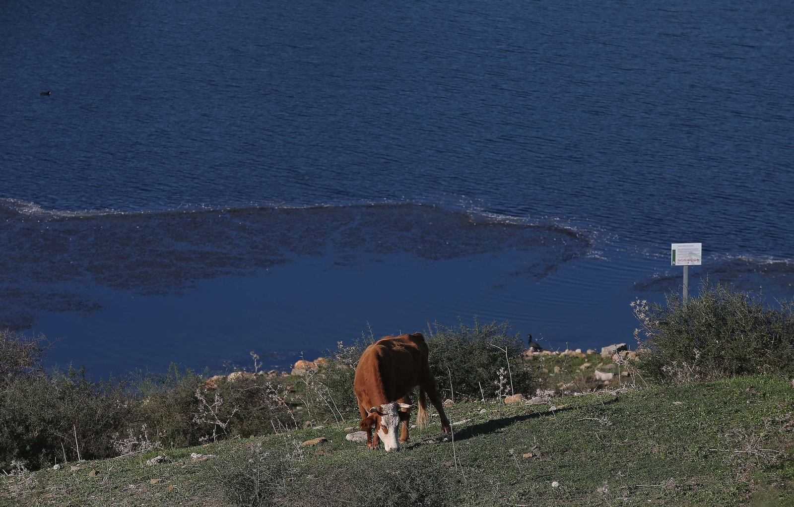Imágenes del acuífero de la Huerta de Las Pilas en Algeciras