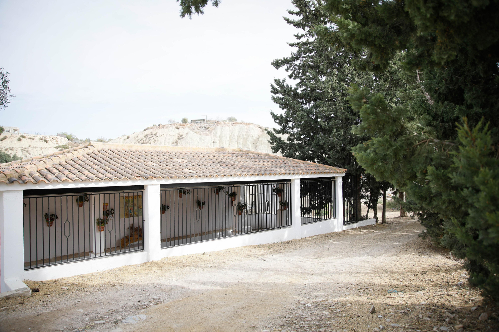 Entrevista al alcalde de los Gallardos y visita al pueblo en imágenes por el centenario como municipio independiente