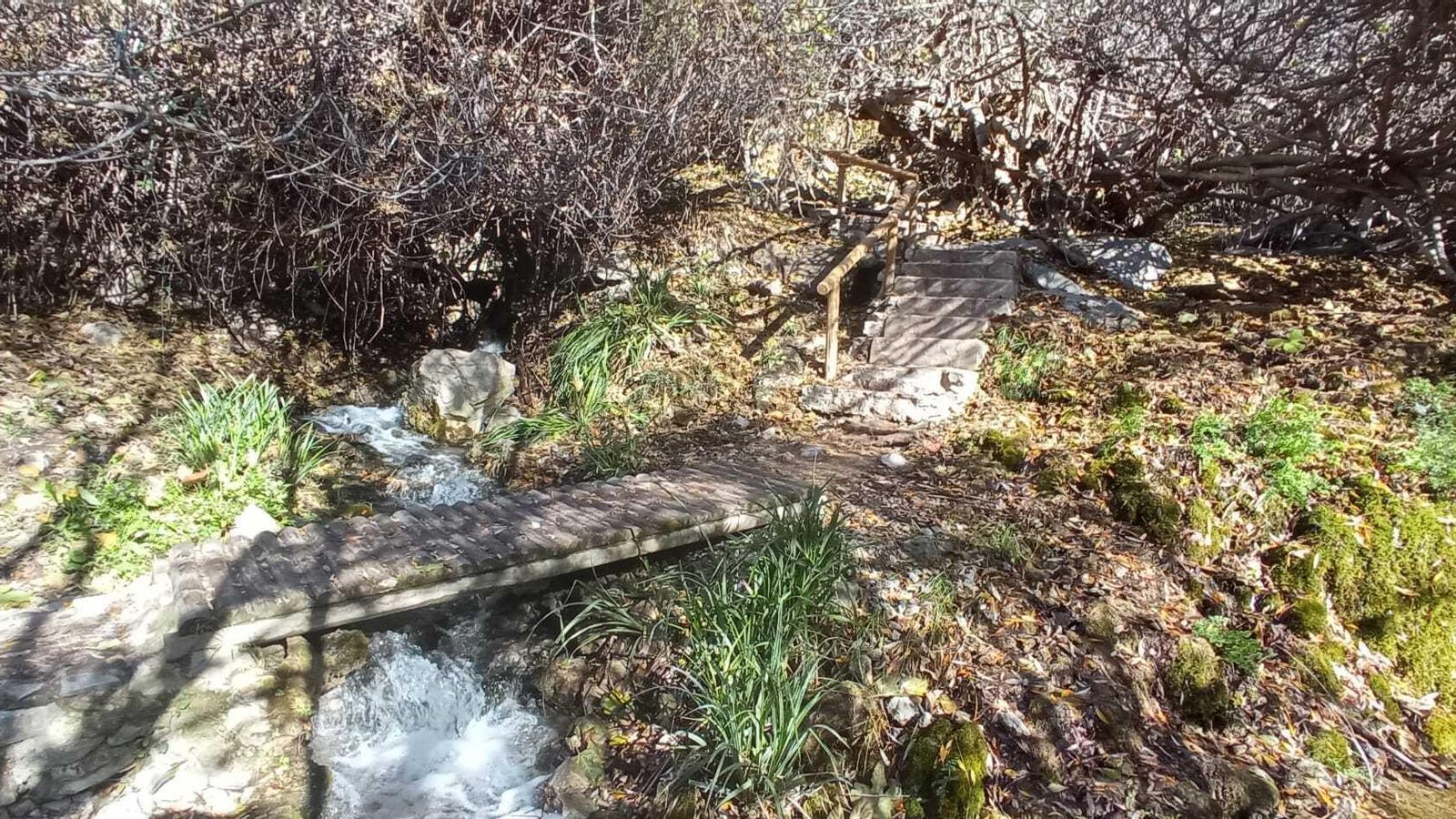 Las imágenes de la ruta del Bosque Encantado de Higueras