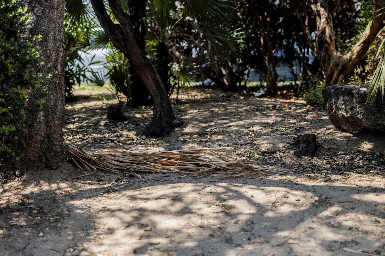 Las zonas verdes menos verdes de la ciudad de Cádiz