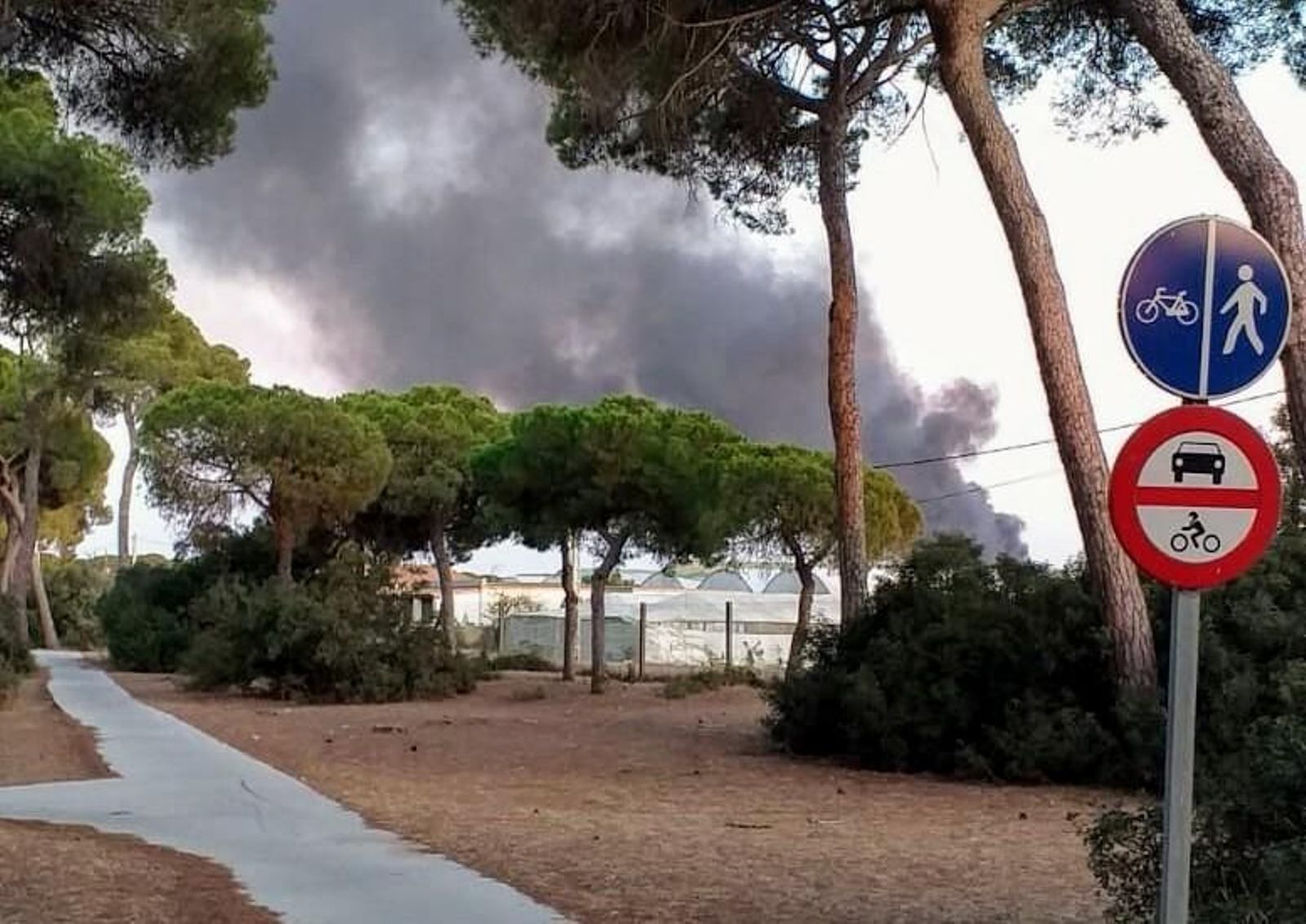 Nuevo incendio en la planta de reciclaje de plásticos de la Algaida