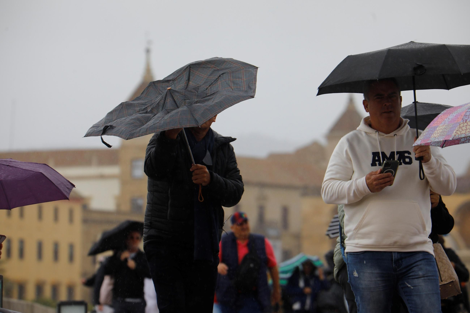La borrasca Martinho aprieta en Córdoba, en imágenes