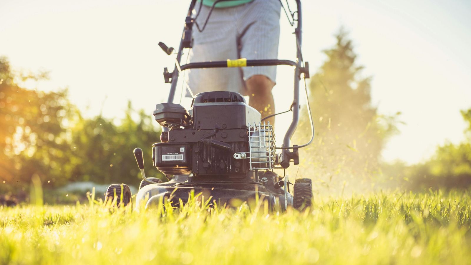 Los costacéspedes que dejarán tu jardín en perfecto estado durante todo el año
