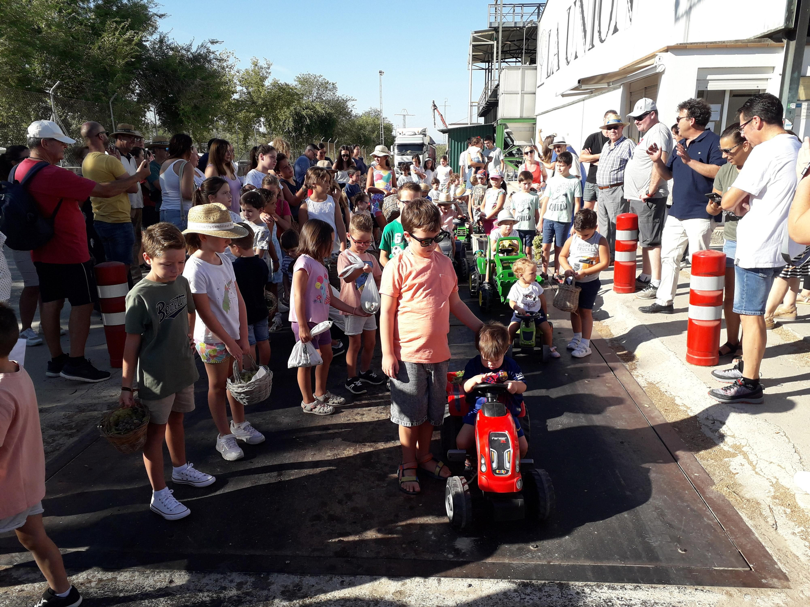La primera vendimia infantil de Montilla, en imágenes