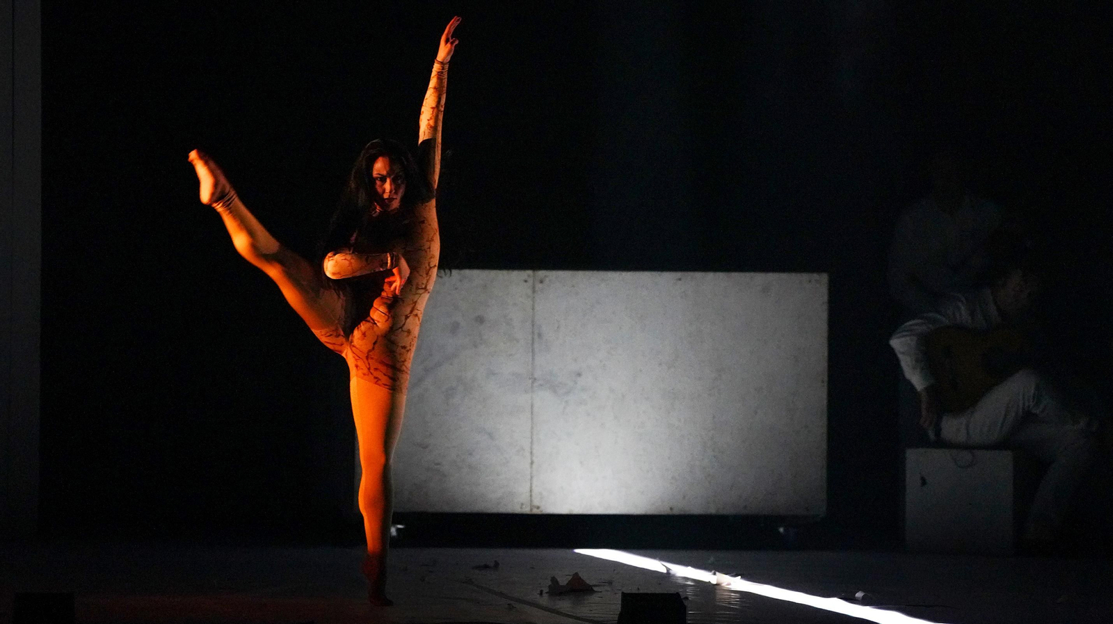 'Eterno' homenaje a Picasso en el 28 Festival de Jerez