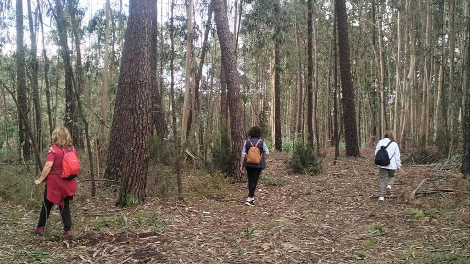 Familiares buscan en Portugal