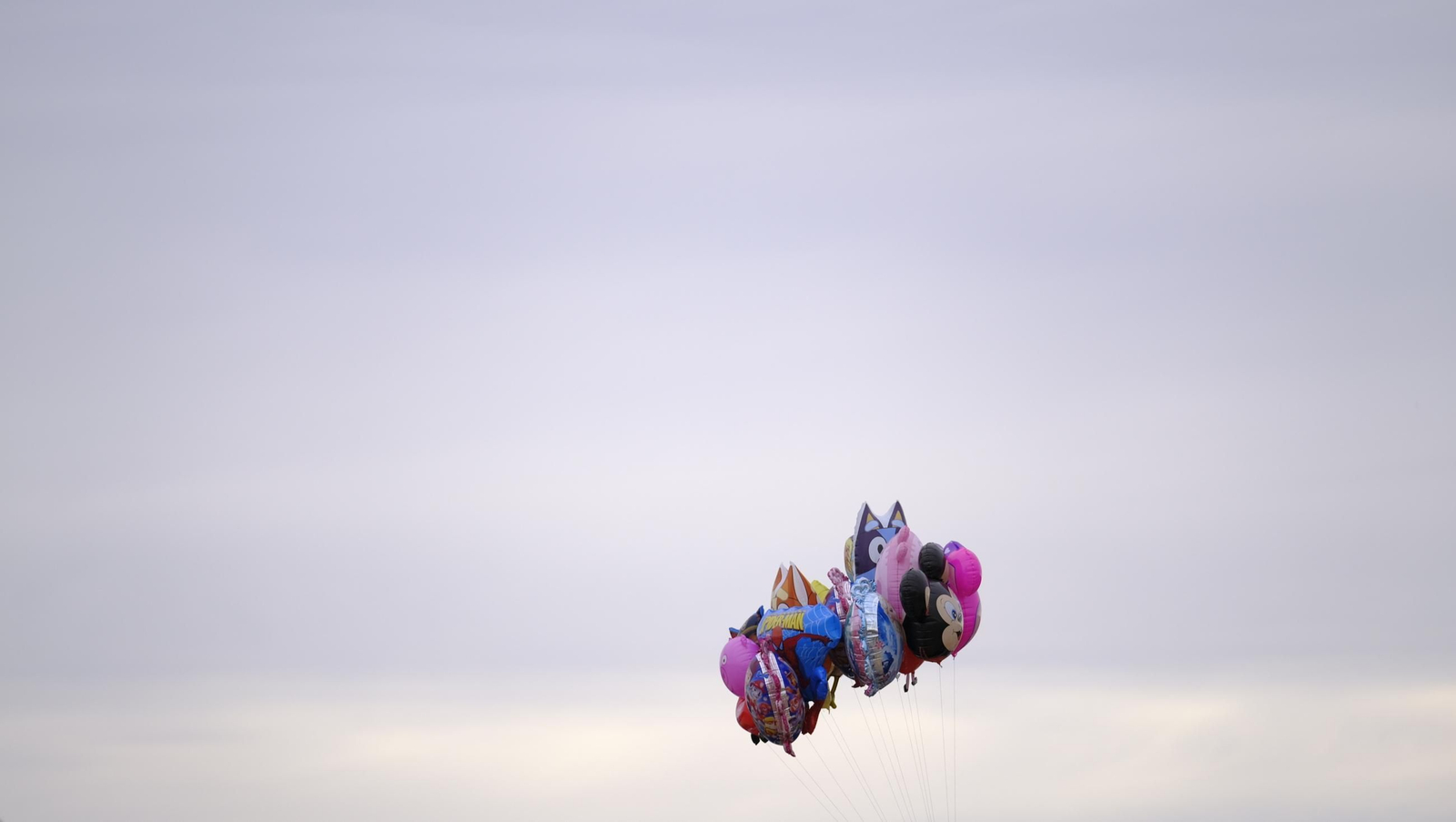 La Romería de Torregarcía, en imágenes