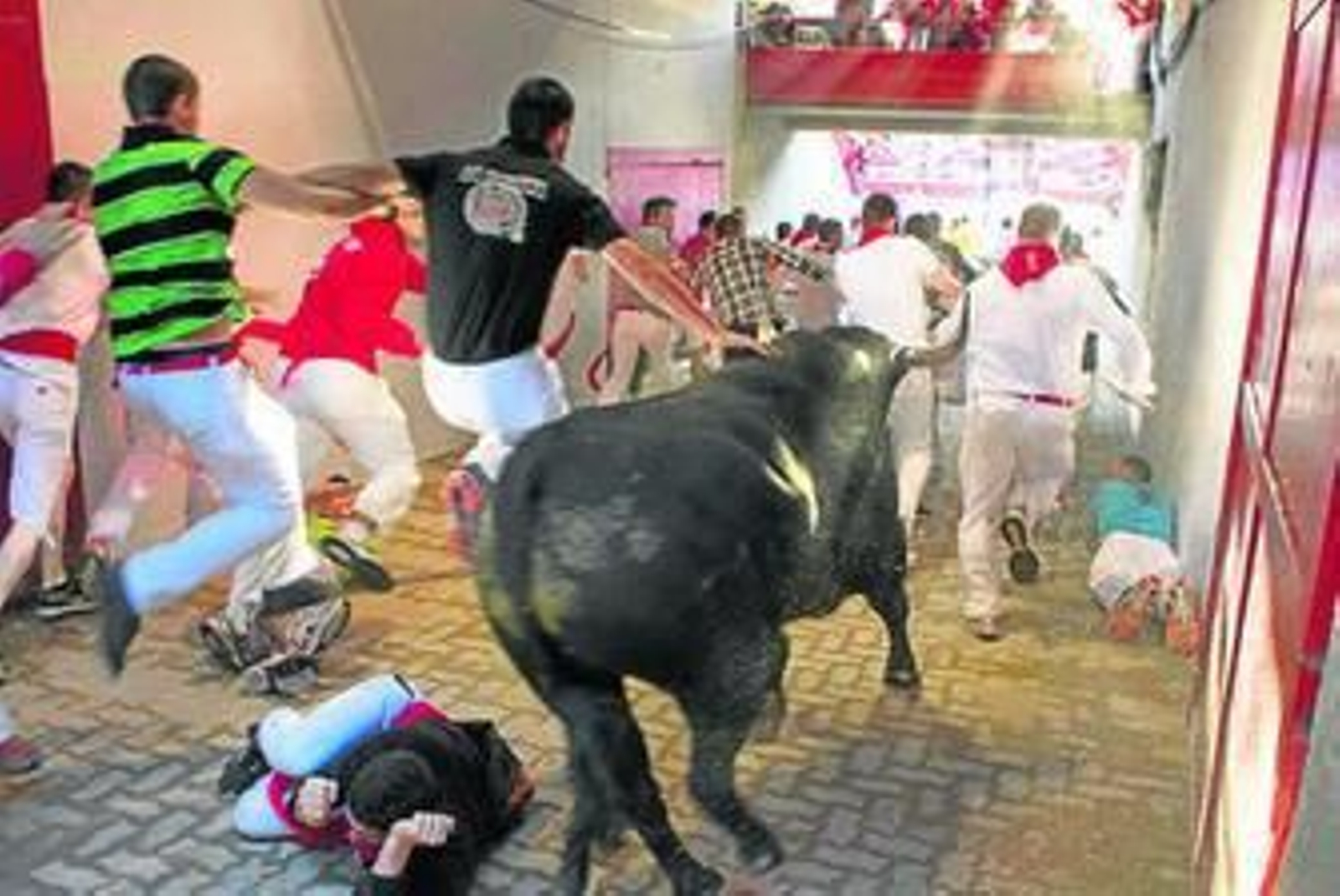 Un toro entra en el túnel de acceso a la plaza. Un toro entra en el túnel de acceso a la plaza.