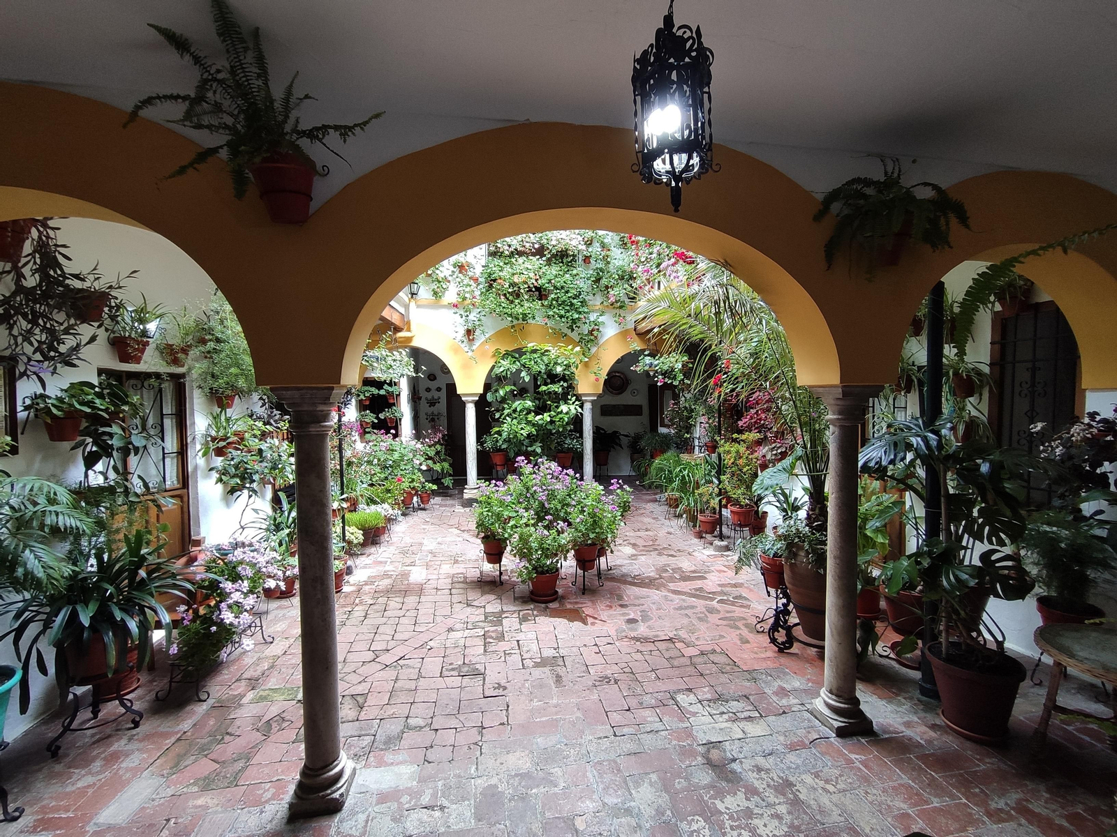 Los Patios de Córdoba en tiempos de crisis: Duque de la Victoria, 3