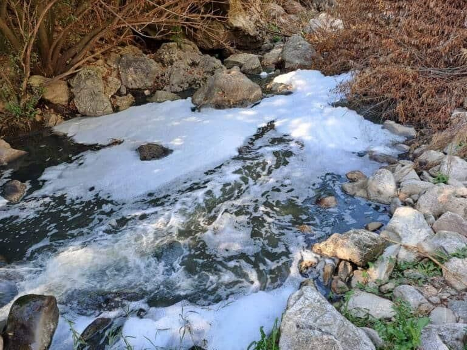 Aspecto del arroyo que va al río Ubrique.