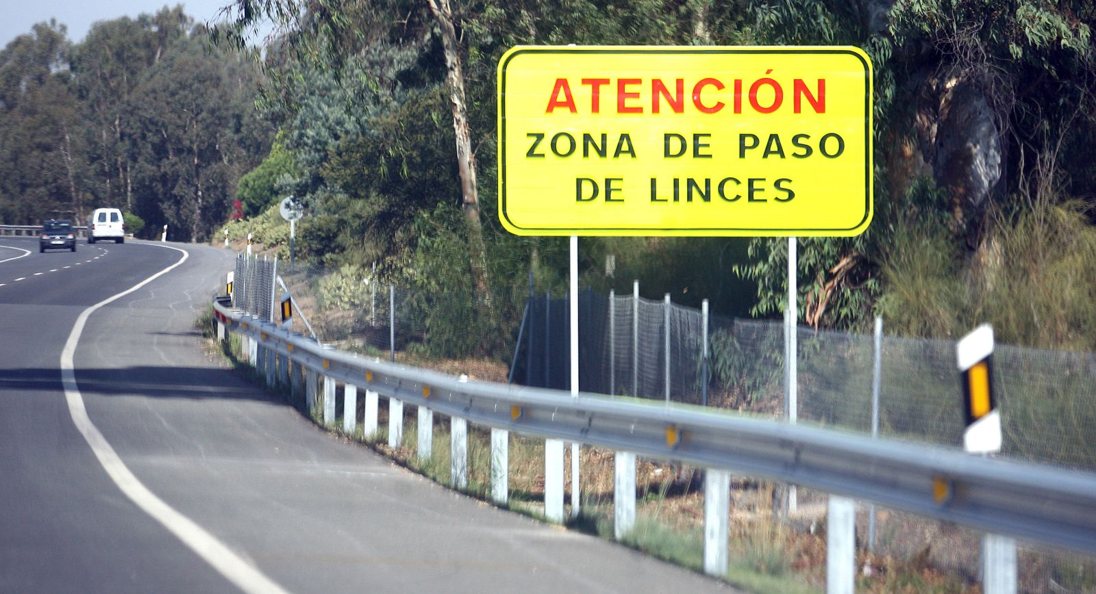 Aviso en una carretera onubense de un área de paso de los linces.