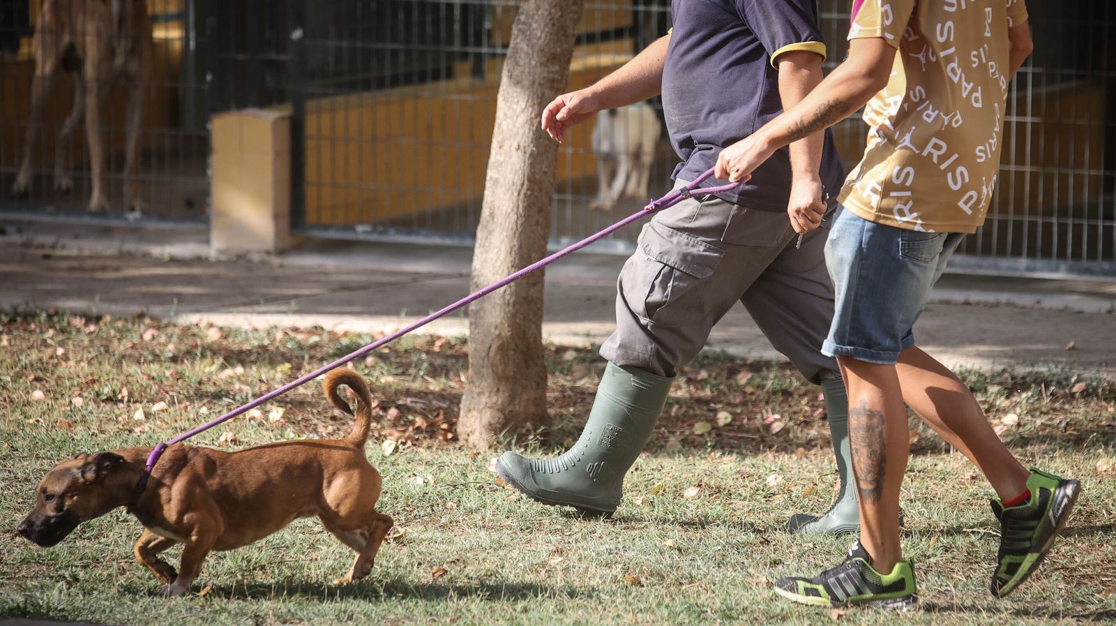 Centro de Protección Animal de Jerez