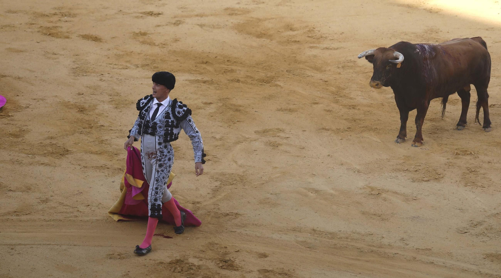 Las fotos de la corrida de toros de David Galván, Daniel Luque y Joaquín Galdós en San Roque
