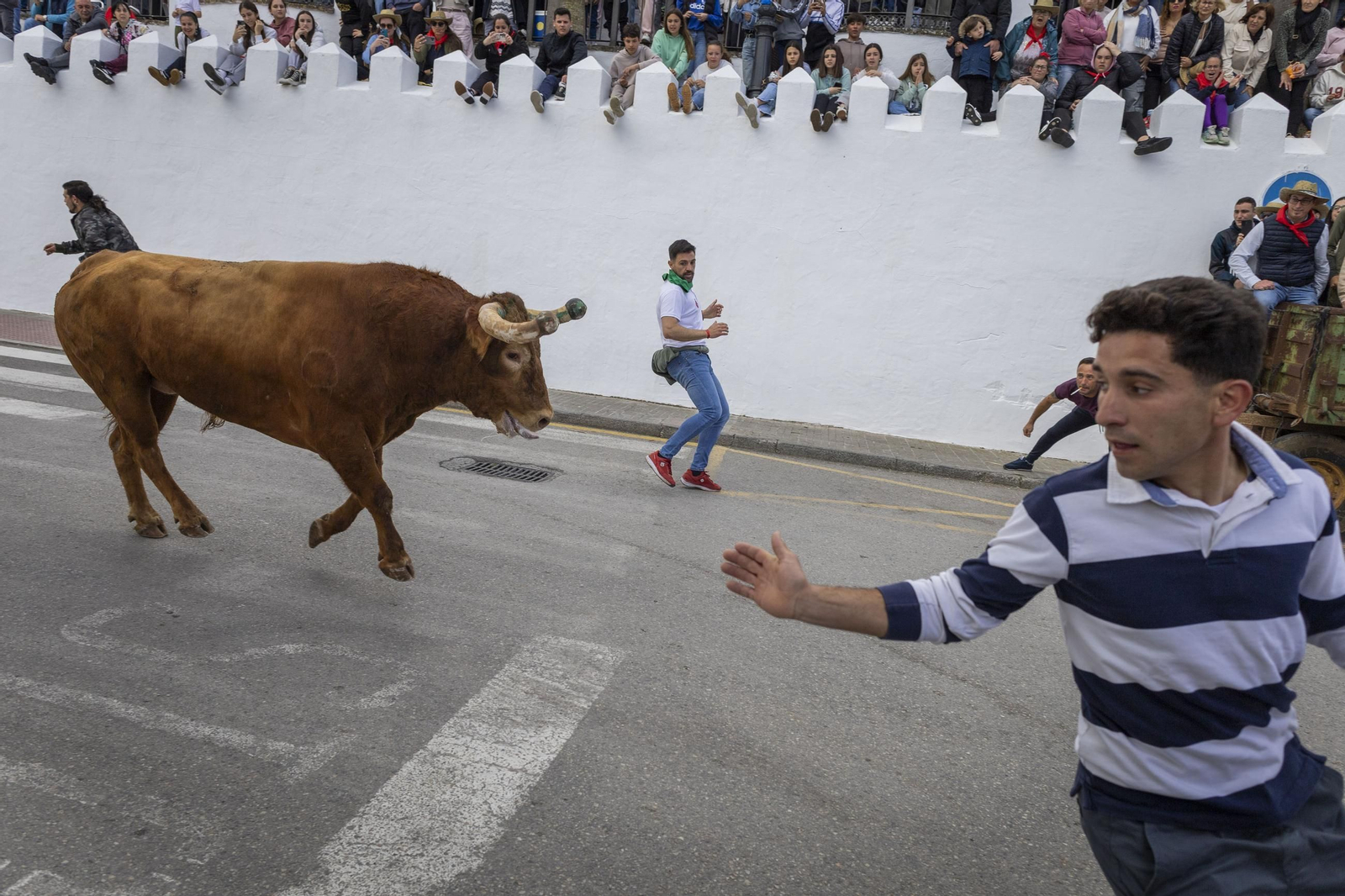 Las imágenes del Toro Embolao de Vejer 2025