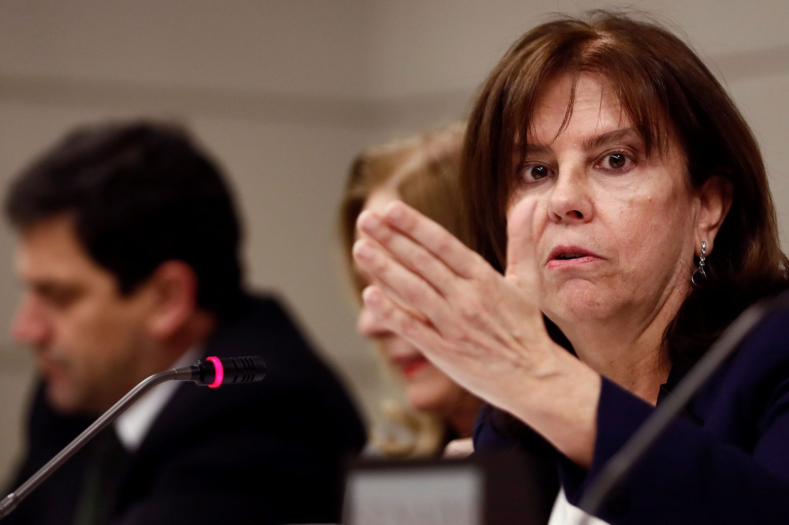 La presidenta de la Sepi, Pilar Platero, durante una comparecencia en días pasados.