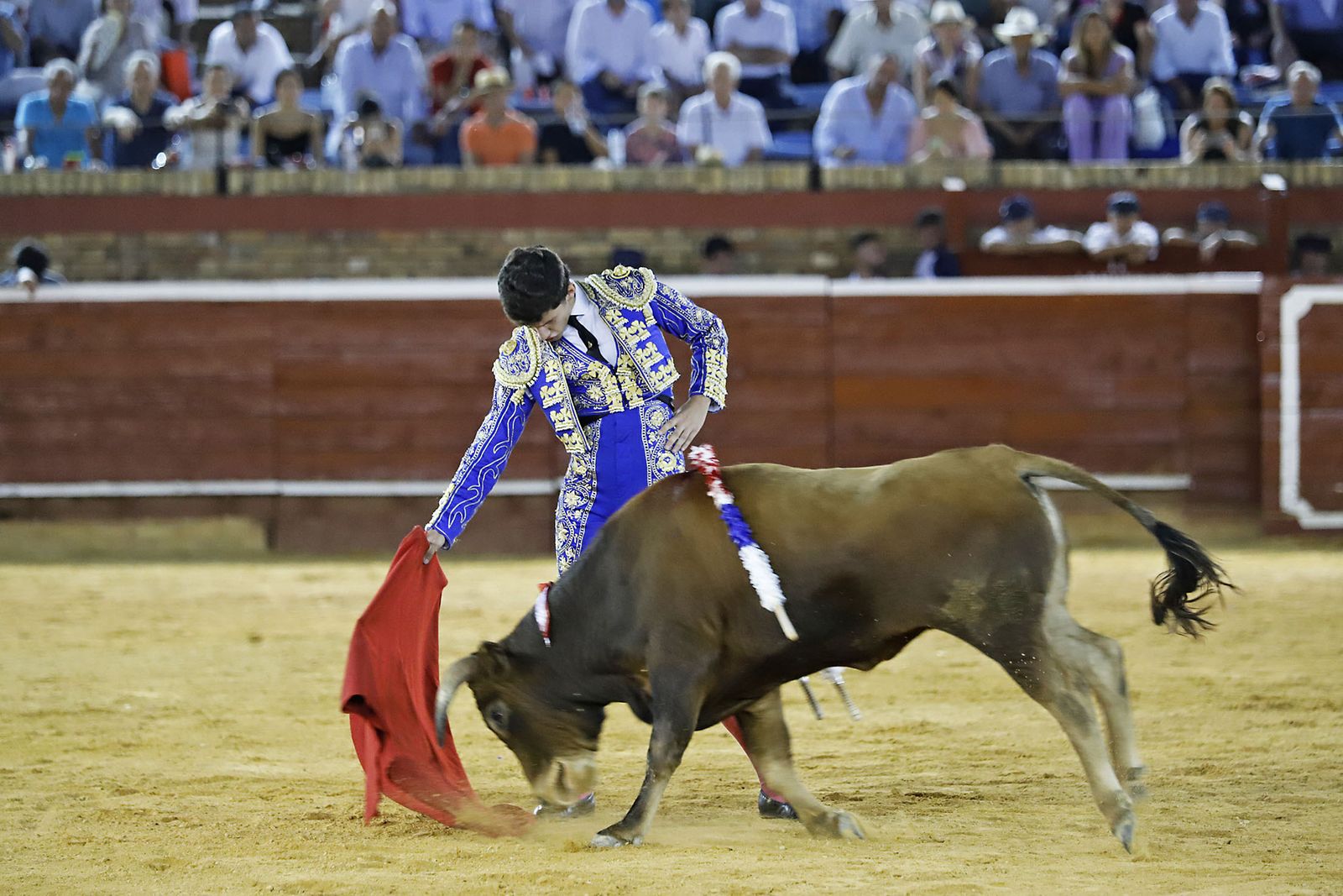 COLOMBINAS 2023: Festejo del miércoles de la Feria Taurina